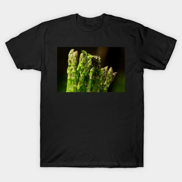 Asparagus T-Shirt by ikshvaku